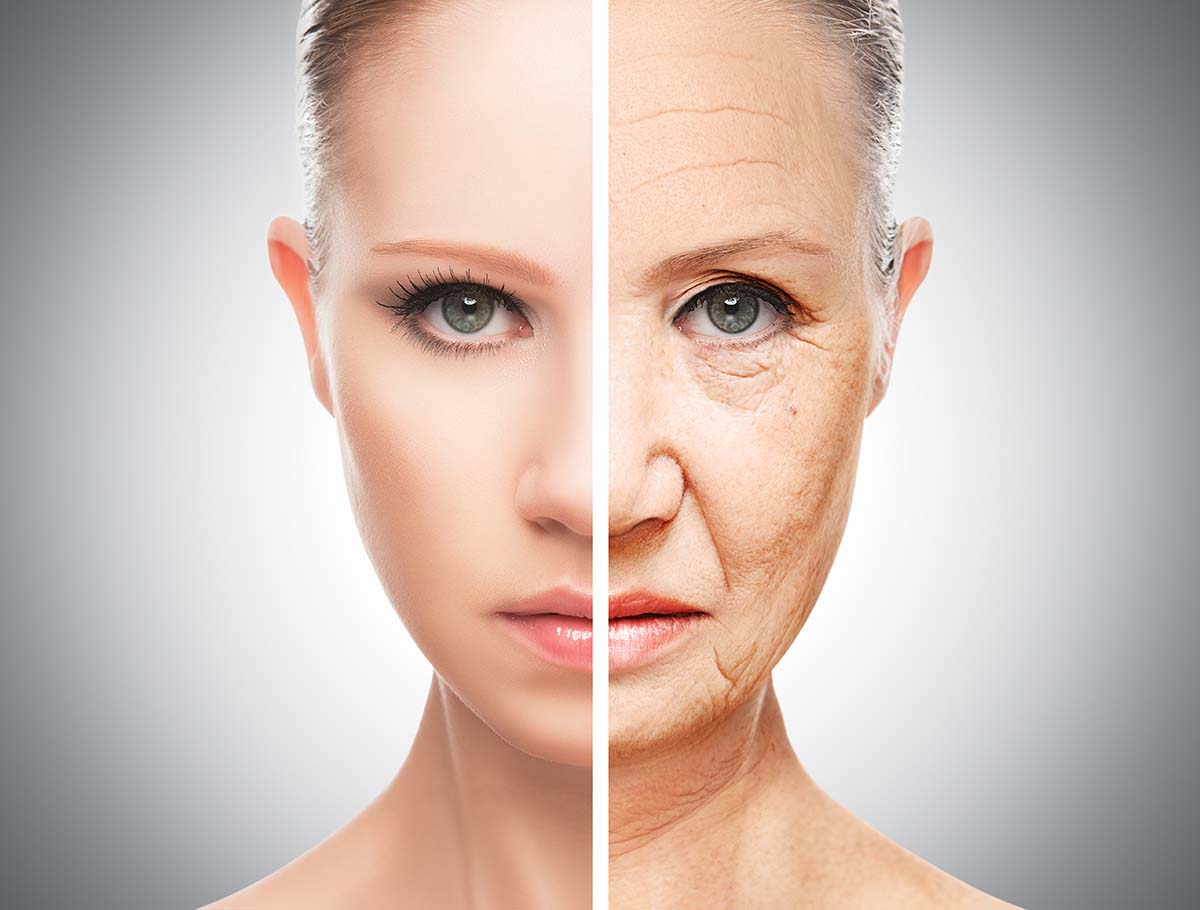stop ageing